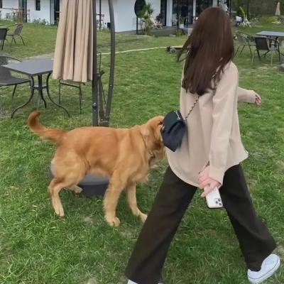 主教之妻